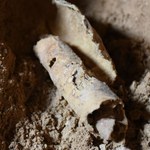 Nad Morzem Martwym odkryto jaskinię ze starożytnymi słojami
