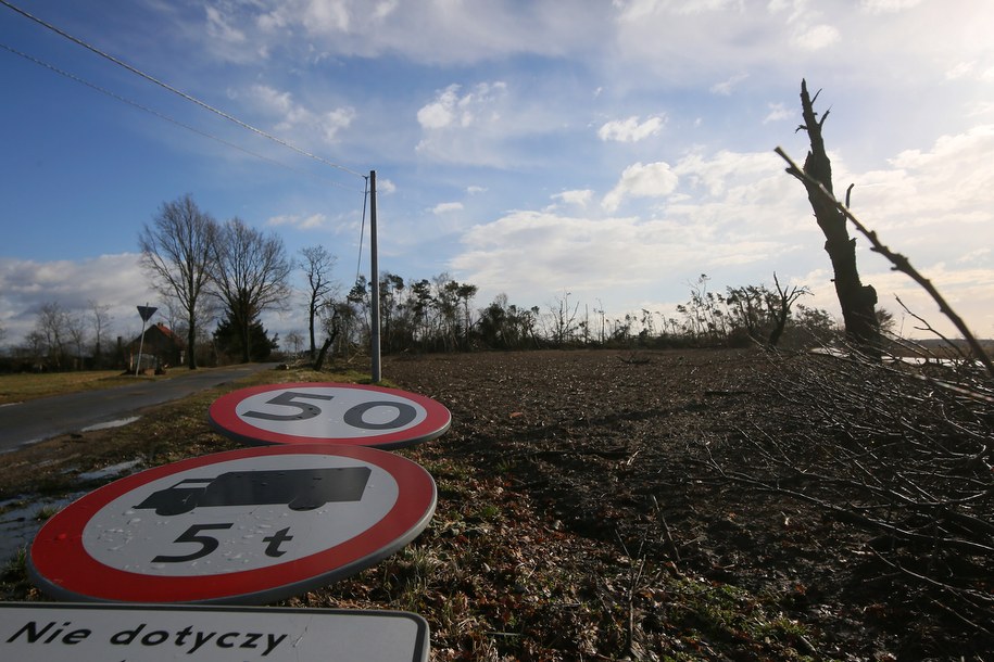 Drzewo spadło na jadącego busa. Nie żyje jedna osoba