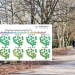 Nad Polskę nadciąga ocieplenie: Nawet 14 stopni