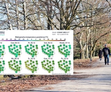 Nad Polskę nadciąga ocieplenie: Nawet 14 stopni