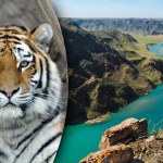 Nad wielkim jeziorem posadzili 50 tys. drzew. Powód jest zaskakujący