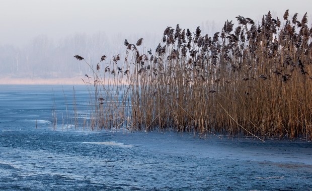 Nad wodą zostawili koc i plecak. Policja w Dąbrowie Górniczej szuka kobiety i mężczyzny