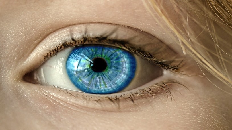 Nadchodzą bioniczne oczy. Pierwszy raz udało się wydrukować w 3D sztuczną rogówkę /Geekweek