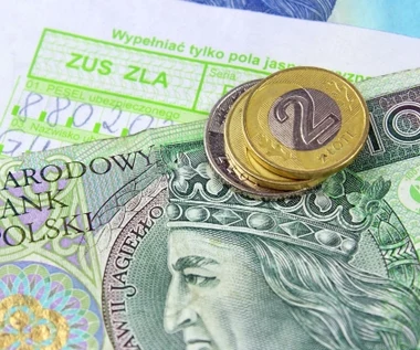 Nadchodzą duże zmiany w L4. "Rewolucja dla pracodawców"