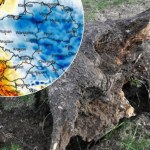 Nadchodzą niebezpieczne wichury. Znamy zagrożone rejony