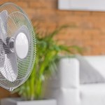 Nadchodzą wysokie temperatury! Aldi oferuje wentylatory i klimatory w niskich cenach!