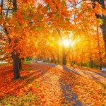 Nadchodzi babie lato. Kiedy zrobi się cieplej?