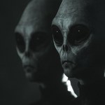 Nadchodzi nowy kosmiczny horror - Greyhill Incident