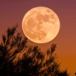 pełnia Księżyca Nadchodzi Pełnia Księżyca we wrześniu. Te 3 znaki zodiaku zmienią się najbardziej