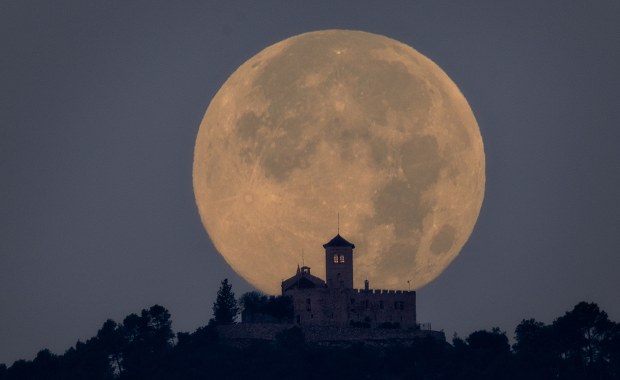 Nadchodzi rekordowy superksiężyc! Sprawdź, kiedy Bobrzy Księżyc i deszcz meteorów rozświetlą niebo