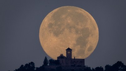 Nadchodzi rekordowy superksiężyc! Sprawdź, kiedy Bobrzy Księżyc i deszcz meteorów rozświetlą niebo