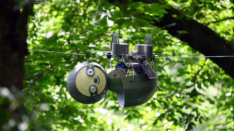 Nadchodzi SlothBot, czyli robo-leniwiec do ratowania ginących gatunków [FILM] /Geekweek