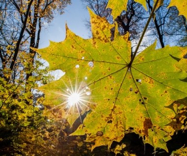 ​Nadchodzi załamanie pogody. W środę duża zmiana
