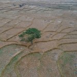 rolnictwo Nadciąga potężne zjawisko atmosferyczne, grudzień może przynieść rekord