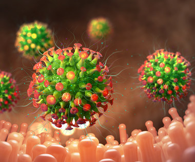 Nadciąga tridemia - mutują trzy wirusy jednocześnie. W lutym będzie najgorzej