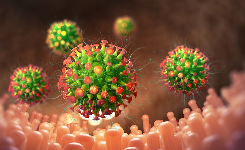 Nadciąga tridemia - sezonowe mutacje trzech wirusów jednocześnie rozprzestrzeniają się w społeczeństwie /123RF/PICSEL