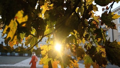 Nadciągają ulewne deszcze. Synoptycy ostrzegają