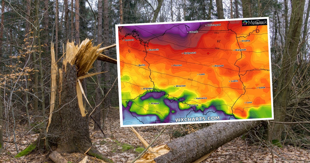 Nadciągający nad Polskę cyklon Patryk przynosi silny wiatr. Z prognoz IMGW wynika, że w nocy z piątku na sobotę na Wybrzeżu będzie wiało ponad 100 km/h /gabort71/123rf/WXCHARTS /