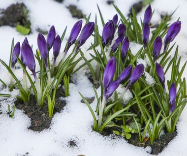 Nadeszła astronomiczna wiosna! 