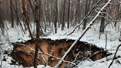 Nadleśnictwo Chrzanów ostrzega przed zapadliskami