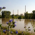 Wisła Nadwiślańska elektrownia zasysa setki milionów ryb? Spółka odpiera zarzuty