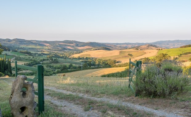 Nadzwyczajne odkrycie w Toskanii. W błocie starożytnych term leżał posąg Apolla