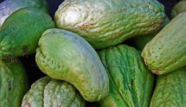 Нагадує грушу, але мало що з нею має спільного. Надовго насичує, допомагає при проблемах з нирками