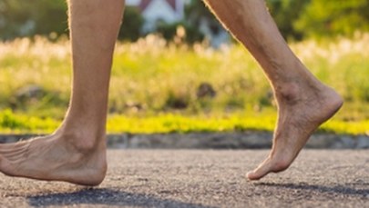 "Nagi olbrzym" z Polski pobił policjantów z Austrii 