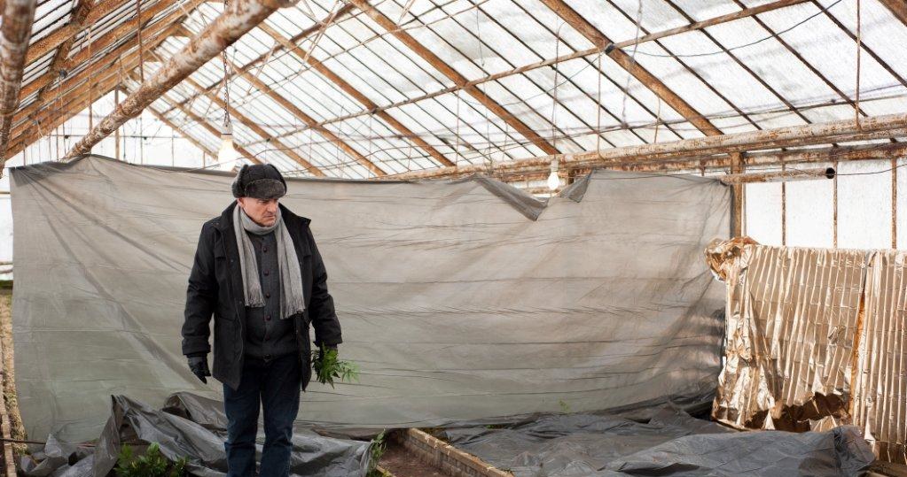 Nagle do Romana dociera, że musi jak najszybciej wycofać ciastka ze sprzedaży w barze Ziębów, inaczej może dojść do tragedii… /TVN