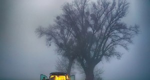 Nagle ruszył i zaczął uciekać. Śmierć po próbie uniknięcia kontroli policyjnej