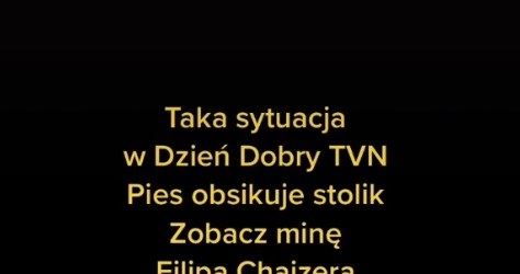 Nagranie z DDTVN stało się hitem sieci, zwłaszcza na TikToku /www.tiktok.com/@prada_pies /TikTok