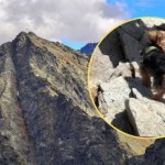 Nagranie z Tatr wywołało burzę w sieci. Turysta zabrał na Rysy yorka