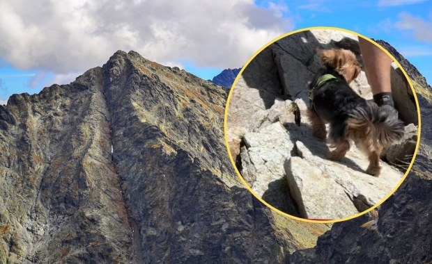 Nagranie z Tatr wywołało burzę w sieci. Turysta zabrał na Rysy yorka