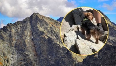 Nagranie z Tatr wywołało burzę w sieci. Turysta zabrał na Rysy yorka