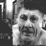 Nagroda dla polskiego filmu w San Francisco