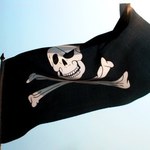Nagrody za walkę z piractwem