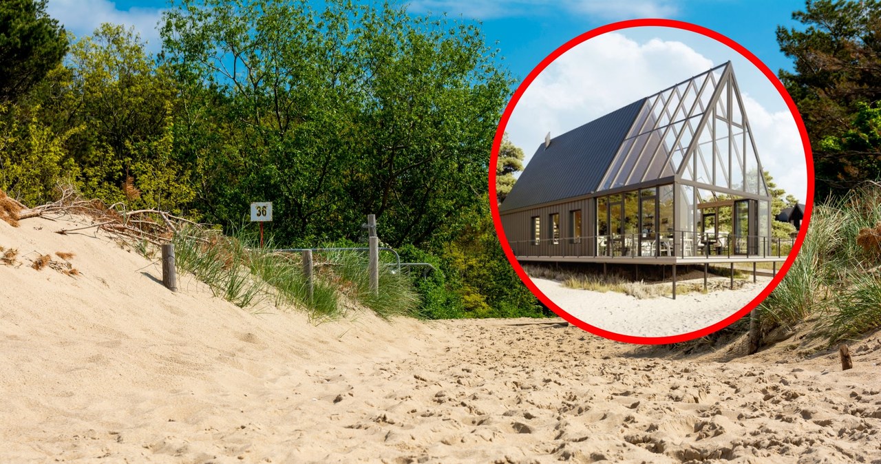 Nagrodzony Solarlux Beach Cabin zostanie zbudowany na plaży, w okolicach Gdańska /Instagram.com/Nomadd.Studio /123RF/PICSEL
