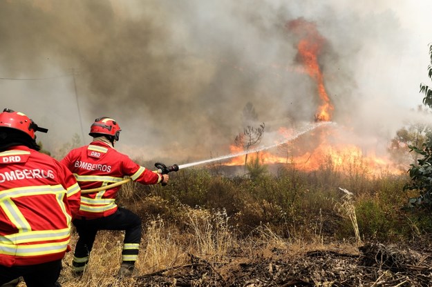 Najbardziej dramatycznym rokiem pod względem pożarów był w Portugalii 2017; śmierć poniosło wówczas 120 osób. /PAULO NOVAIS /PAP/EPA