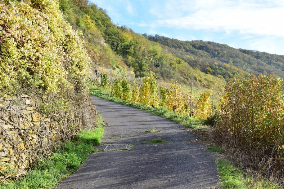 Najbardziej stroma polska droga znajduje się w Małopolsce. Nie bez przyczyny nazywają ją "rzeźnią"