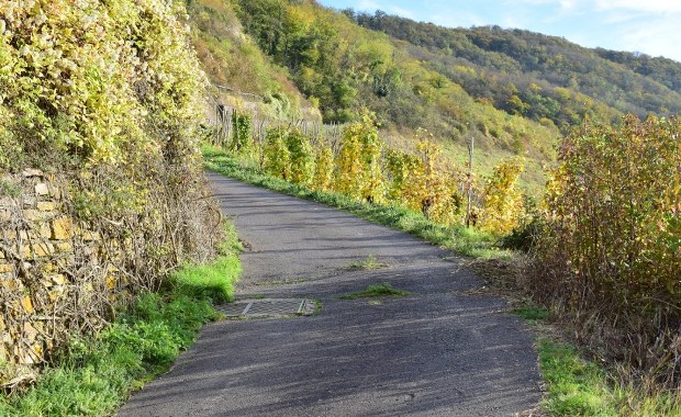 Najbardziej stroma polska droga znajduje się w Małopolsce. Nie bez przyczyny nazywają ją "rzeźnią"