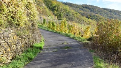 Najbardziej stroma polska droga znajduje się w Małopolsce. Nie bez przyczyny nazywają ją "rzeźnią"