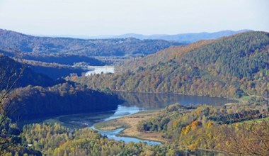 Najbardziej tajemniczy drapieżnik Europy odkryty w Bieszczadach. Zdjęcie robi wrażenie