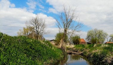 Najbardziej zanieczyszczony strumień w Europie