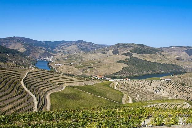 Najbardziej znanym winem z iberyjskiego kraju jest porto, pochodzące z doliny rzeki Douro /&copy;123RF/PICSEL