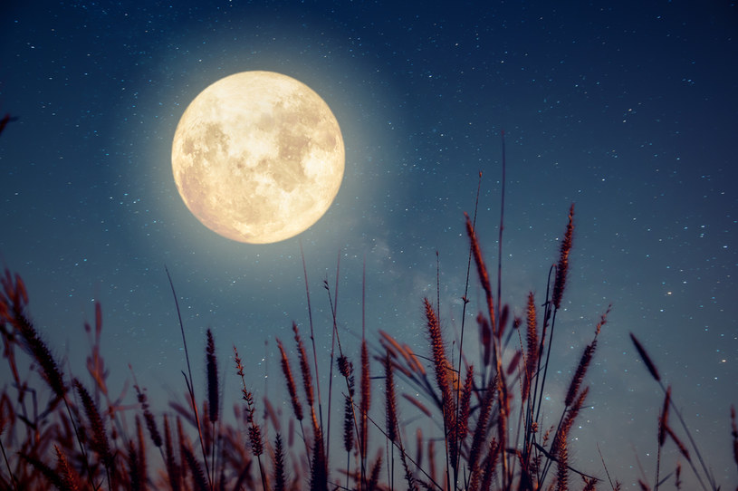 Najbliższa pełnia Księżyca wypada 9 października. /123RF/PICSEL