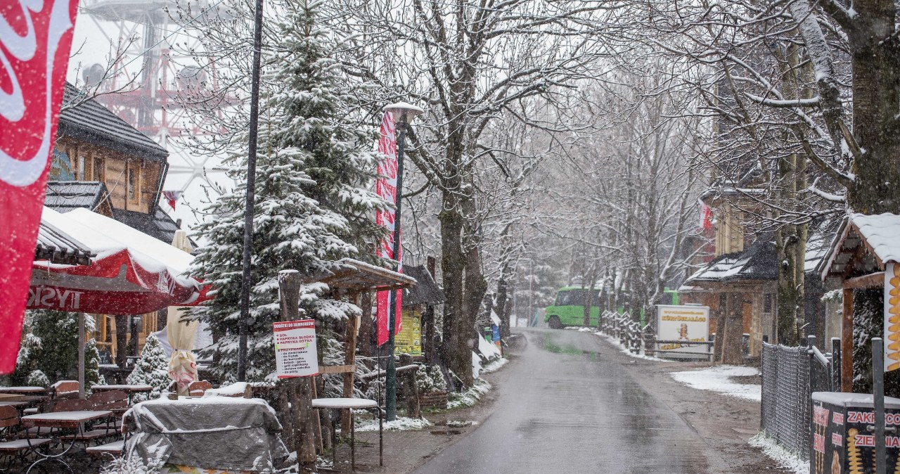 Najbliższa zima. Jaka będzie? Mamy prognozy /Mariusz Szkodziński /Agencja FORUM