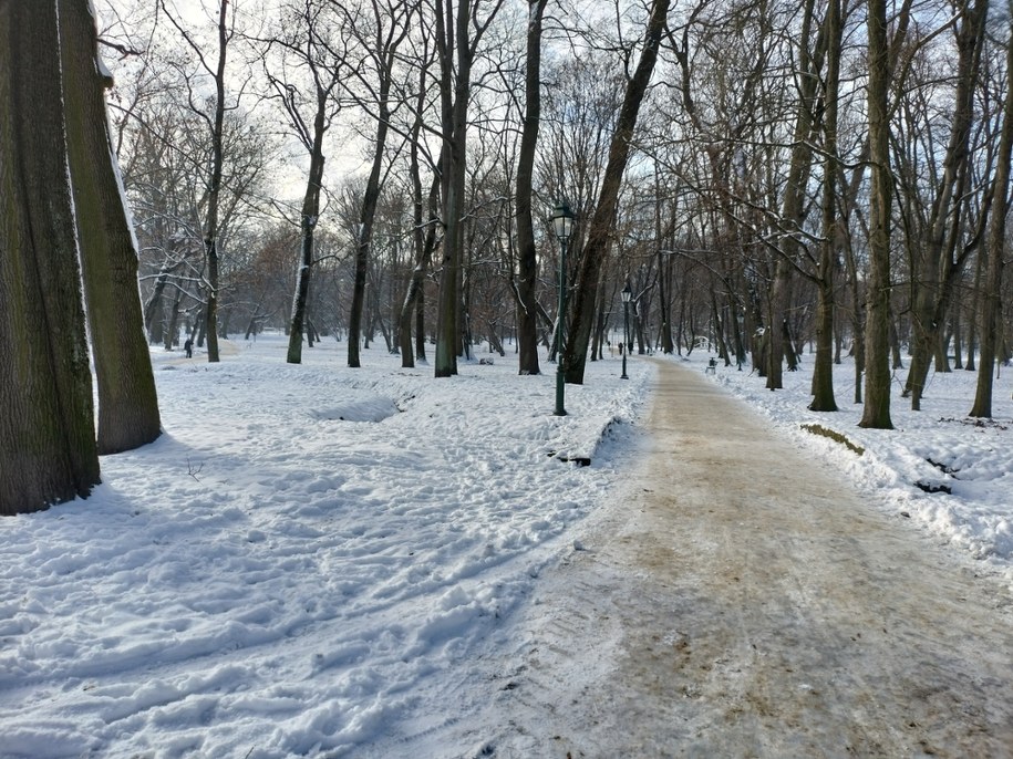 Najbliższe dni przyniosą bardzo łagodną odsłonę zimy /Maciej Nycz /RMF FM