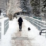 Najbliższe dni z silnym wiatrem i opadami śniegu. Są alerty IMGW