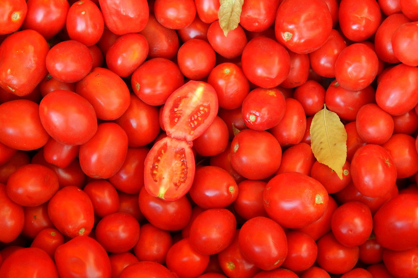 Najcenniejszym skarbem, jaki mają nam do zaoferowania pomidory jest likopen, bardzo silny przeciwutleniacz. Jego działanie doceni szczególnie cera dojrzała, ale także sucha i zmęczona /123RF/PICSEL