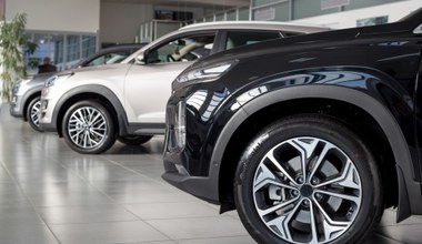 Najchętniej kupowane marki samochodów w Europie. Volkswagen w górę, Tesla w dół